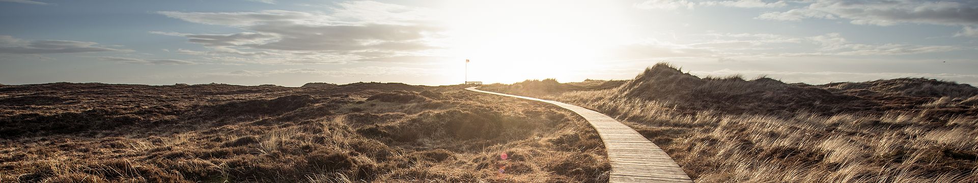 Ein Bohlenweg führt durch eine Dünenlandschaft zum Horizont