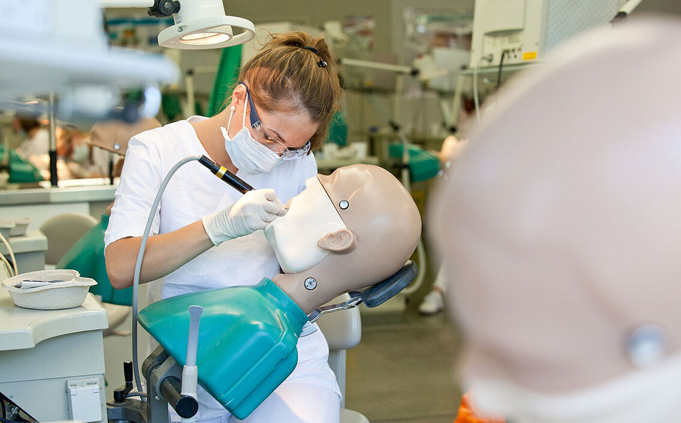 Studierende der Zahnmedizin an der MHH übt an einem Kiefer-Modell mit künstlichem Gebiss 