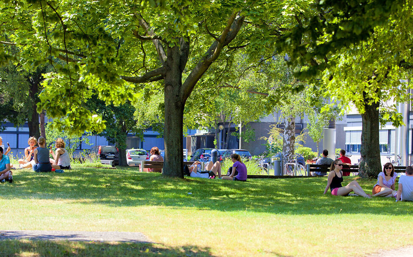Studierende sitzen im Sommer auf der Wiese vor dem Hochschulgebäude der MHH zusammen