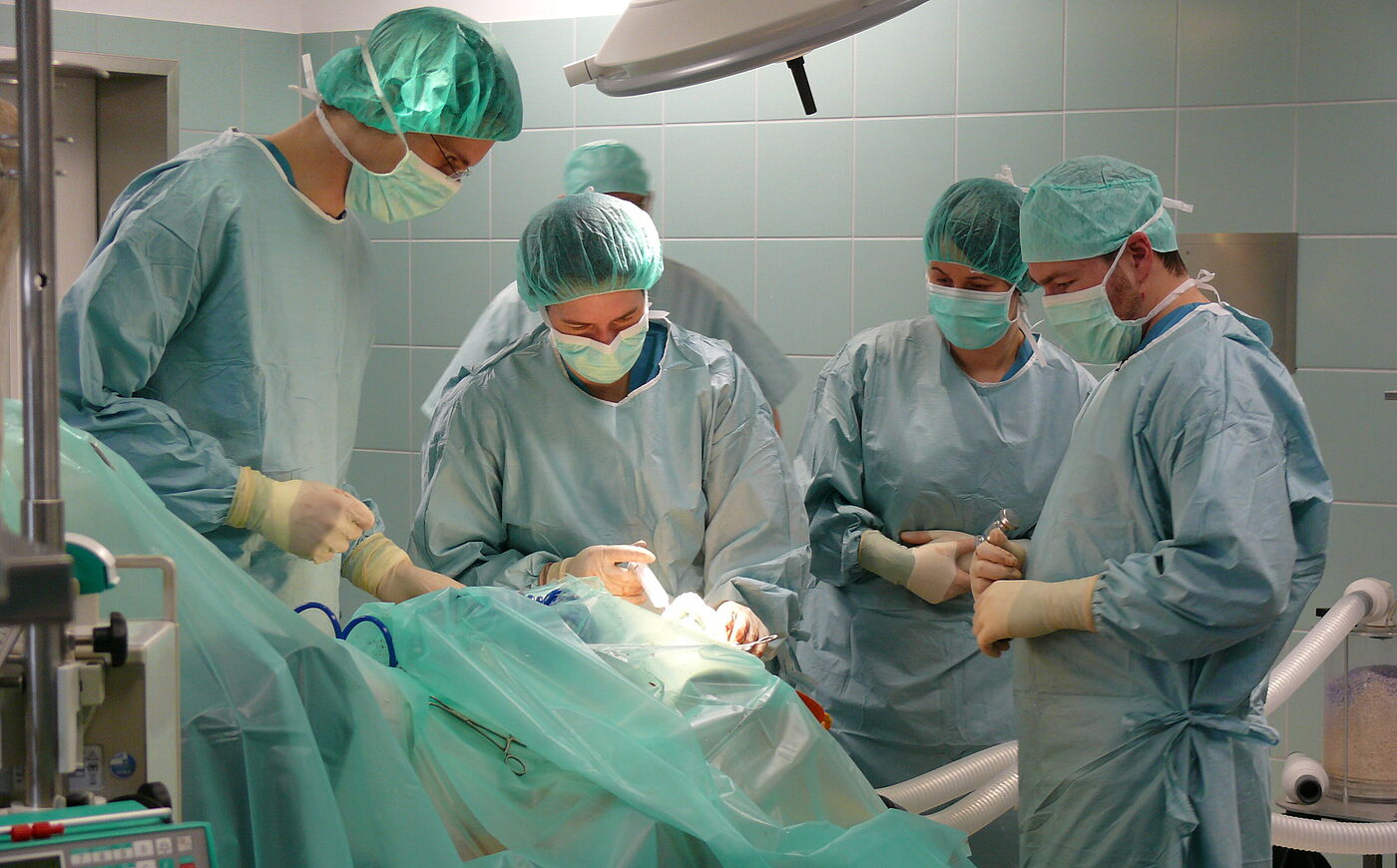 Studierende der Tierärztlichen Hochschule Hannover im Operationssaal